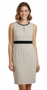 Calvin Klein Sheath Dress Size 6 Tan Beige Colorblock Sleeveless Work Career EUC